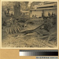 藏品(巴布亞人處理亞答葉(atavu))的圖片